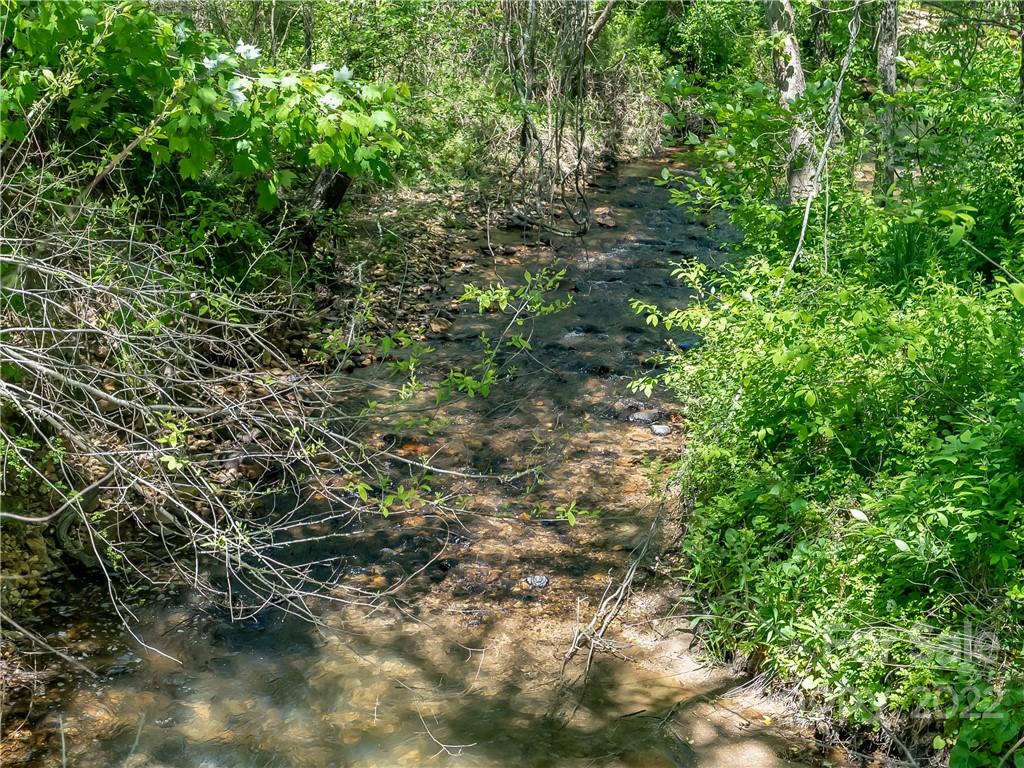 99999 Merrills Cove Road Asheville NC 28803