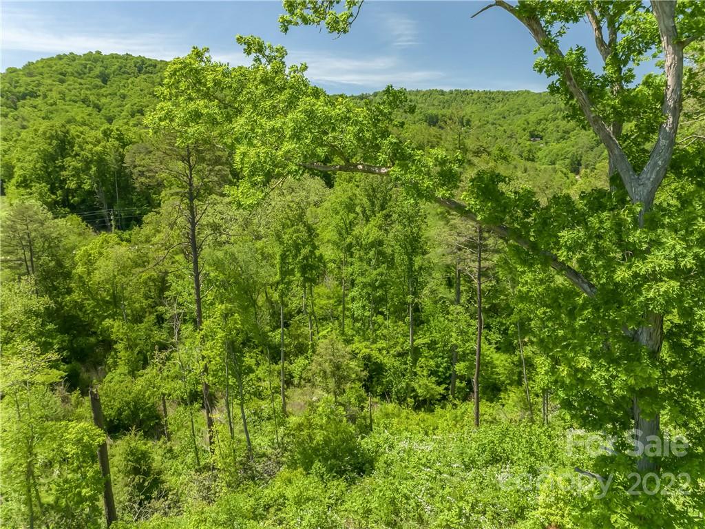 99999 Merrills Cove Road Asheville NC 28803