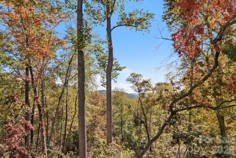 1367 Old Mill Road Hendersonville NC 28792