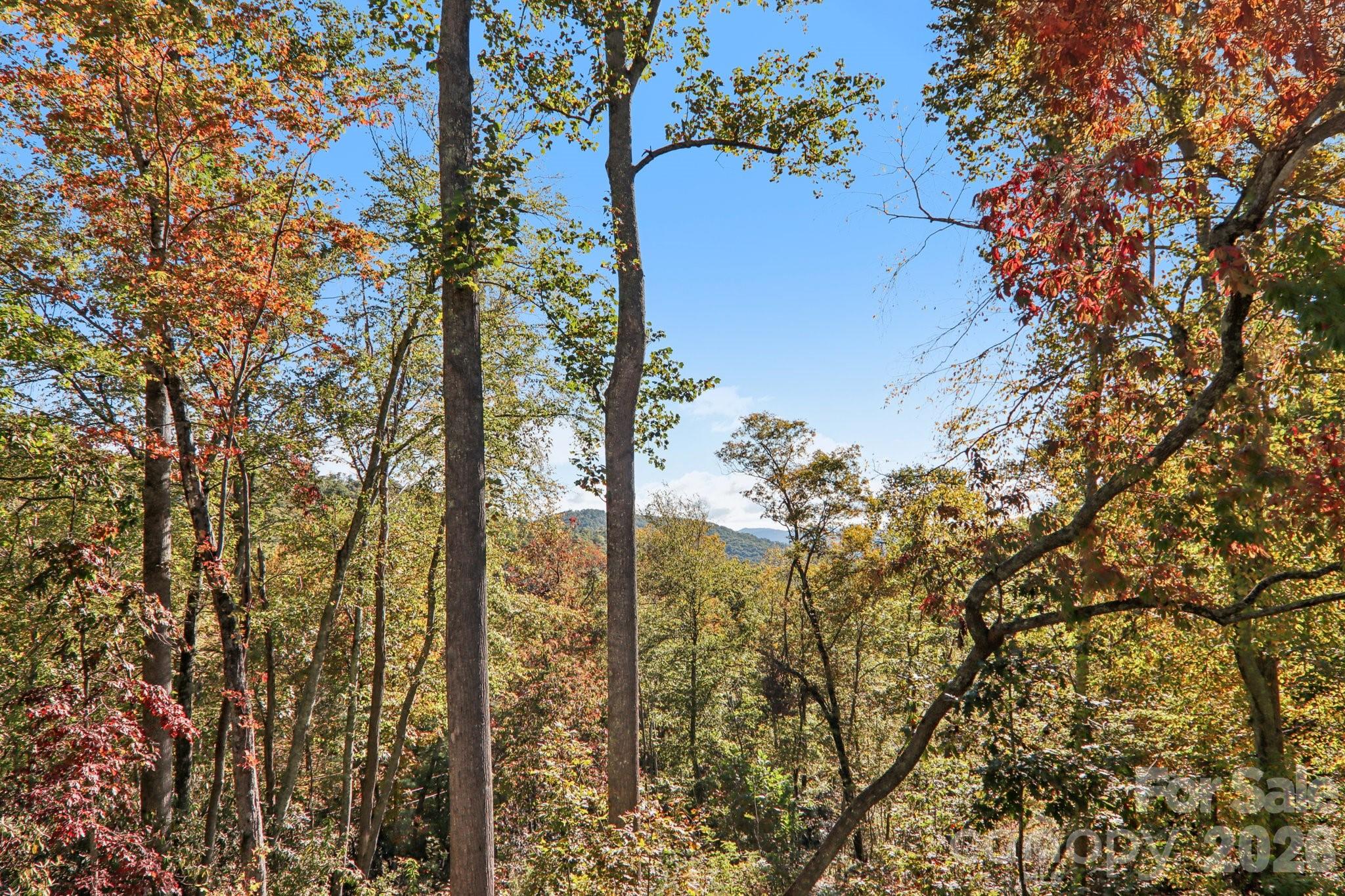 1367 Old Mill Road Hendersonville NC 28792