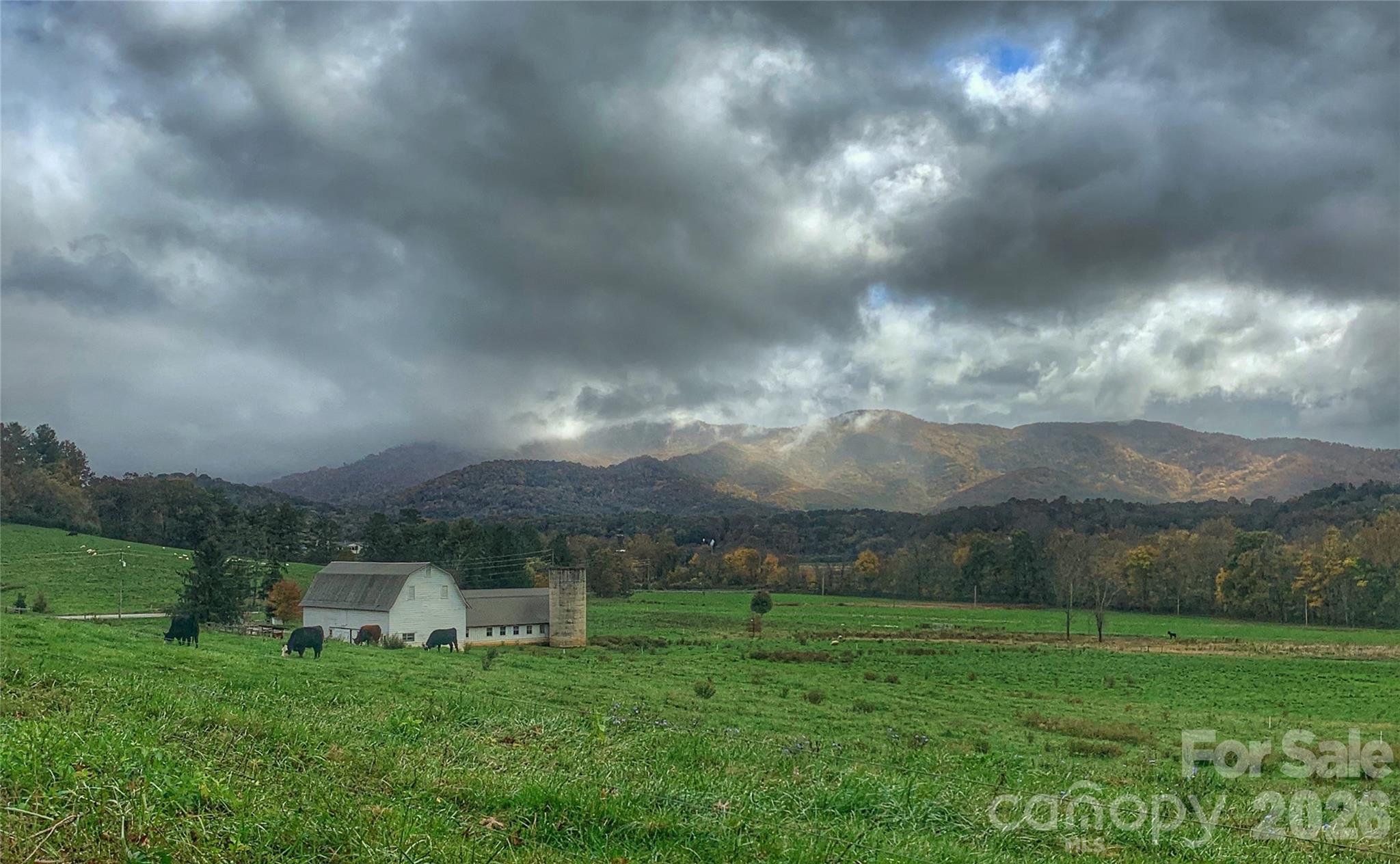 18 Majestic Oak Circle Asheville NC 28805
