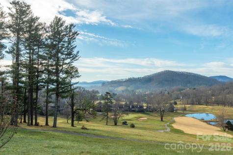 10 Chestnut Ridge Road Mills River NC 28759