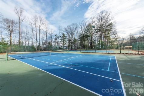 10 Chestnut Ridge Road Mills River NC 28759