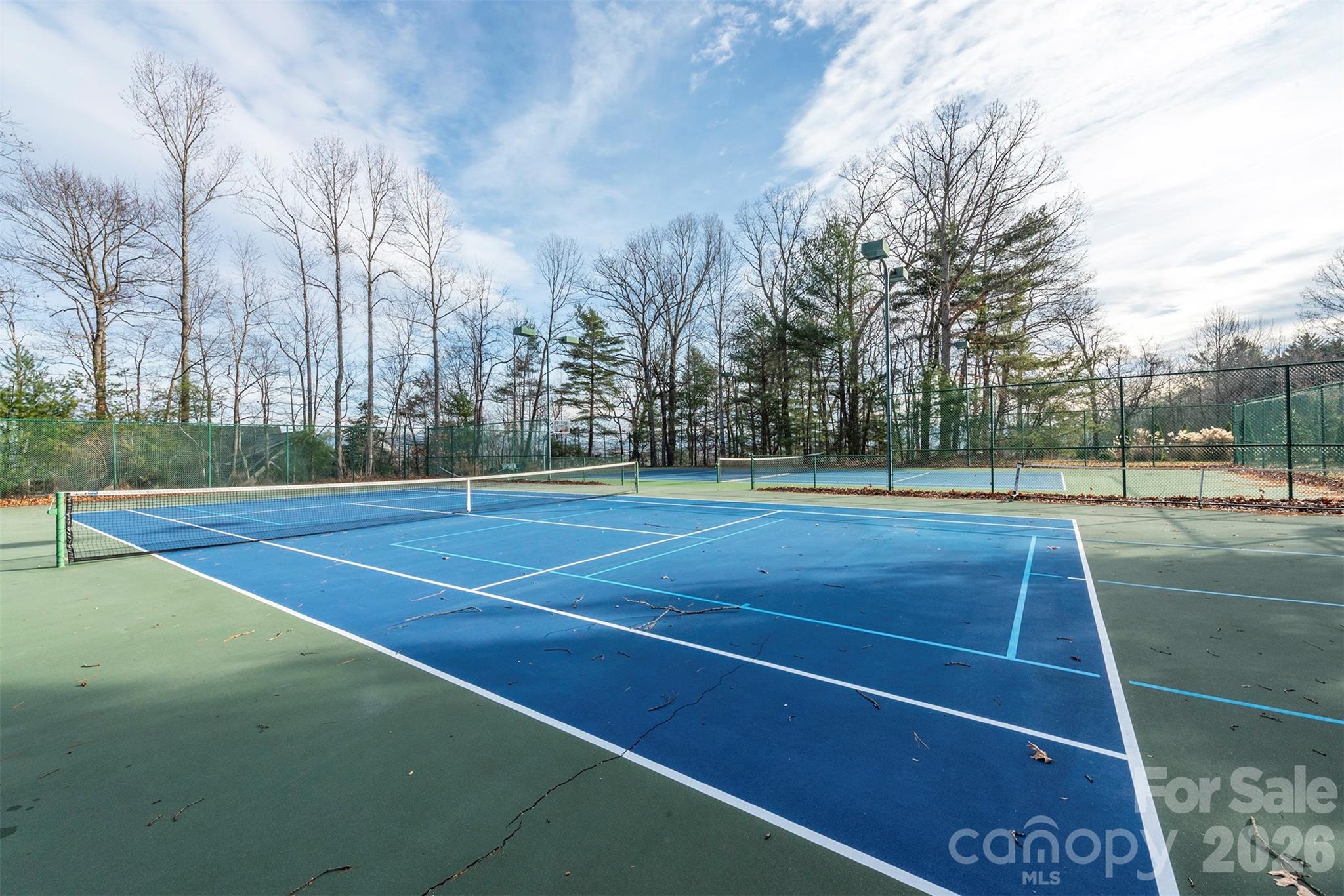 10 Chestnut Ridge Road Mills River NC 28759
