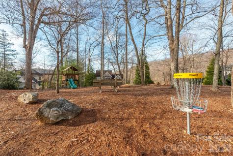 10 Chestnut Ridge Road Mills River NC 28759