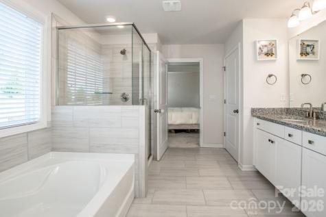 167 Rhuidean Court Troutman NC 28166