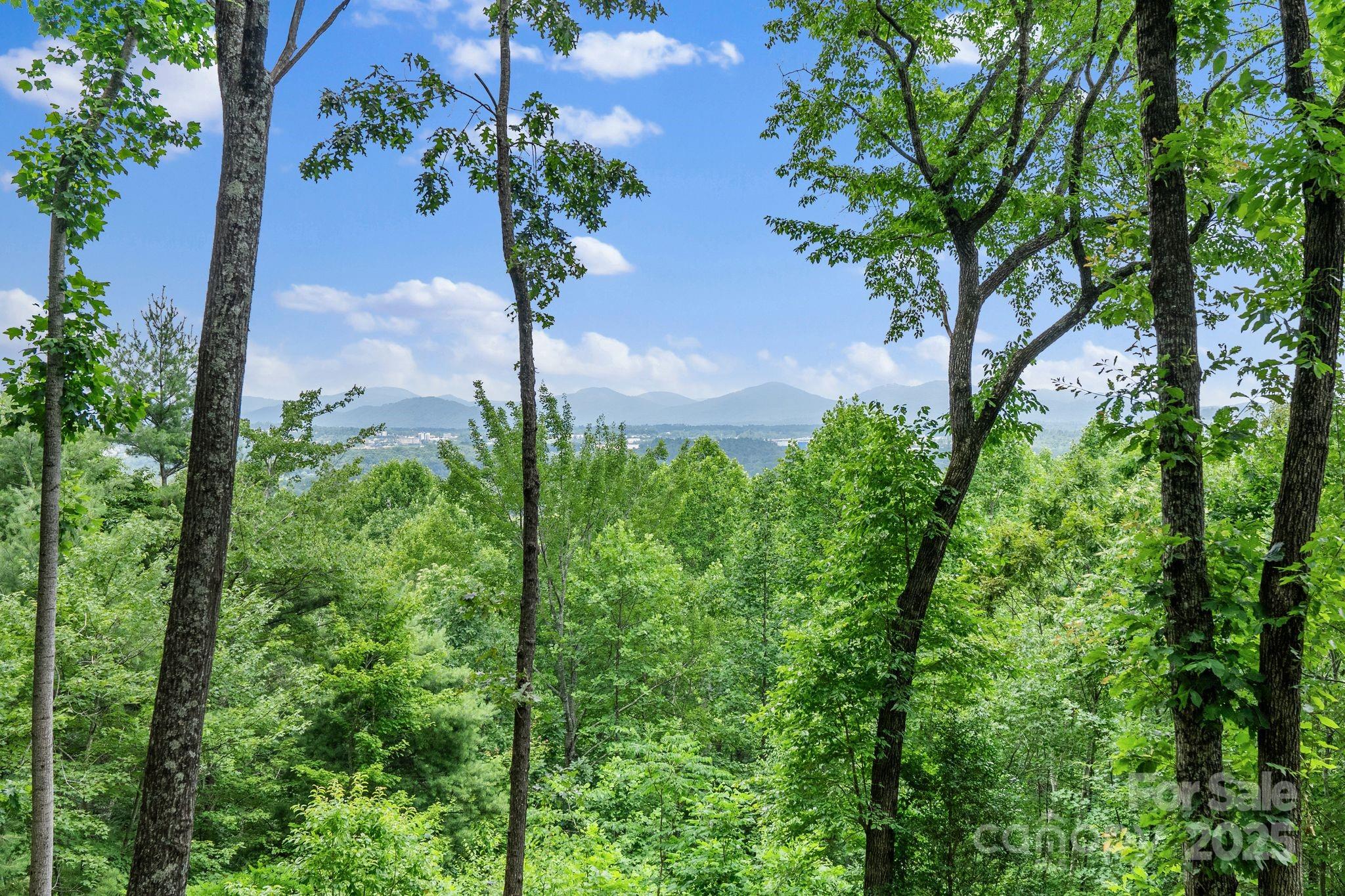 120 Split Rock Trail Arden NC 28704