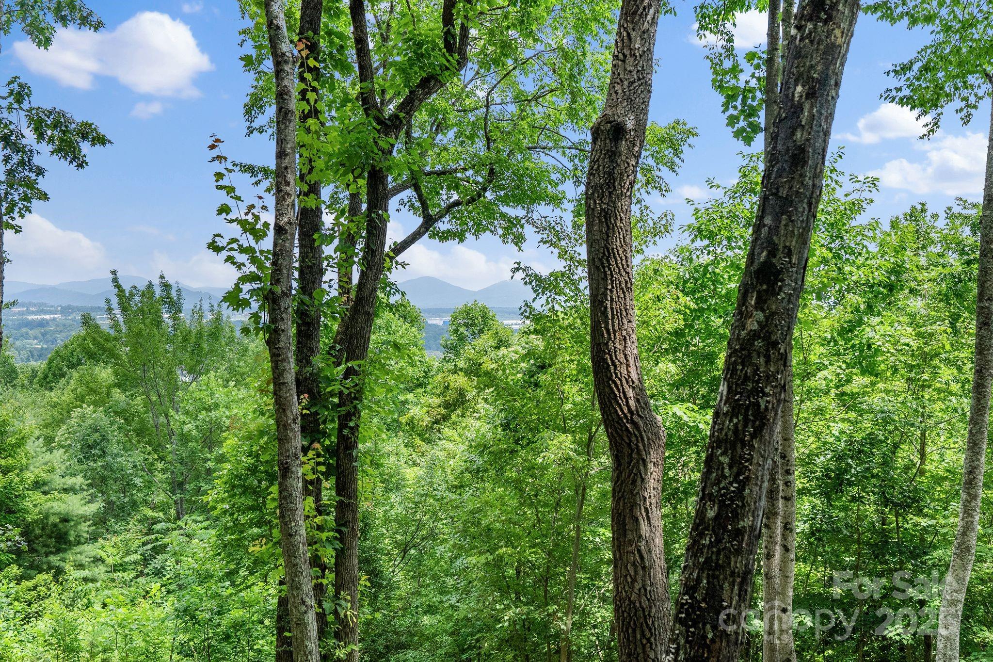 120 Split Rock Trail Arden NC 28704