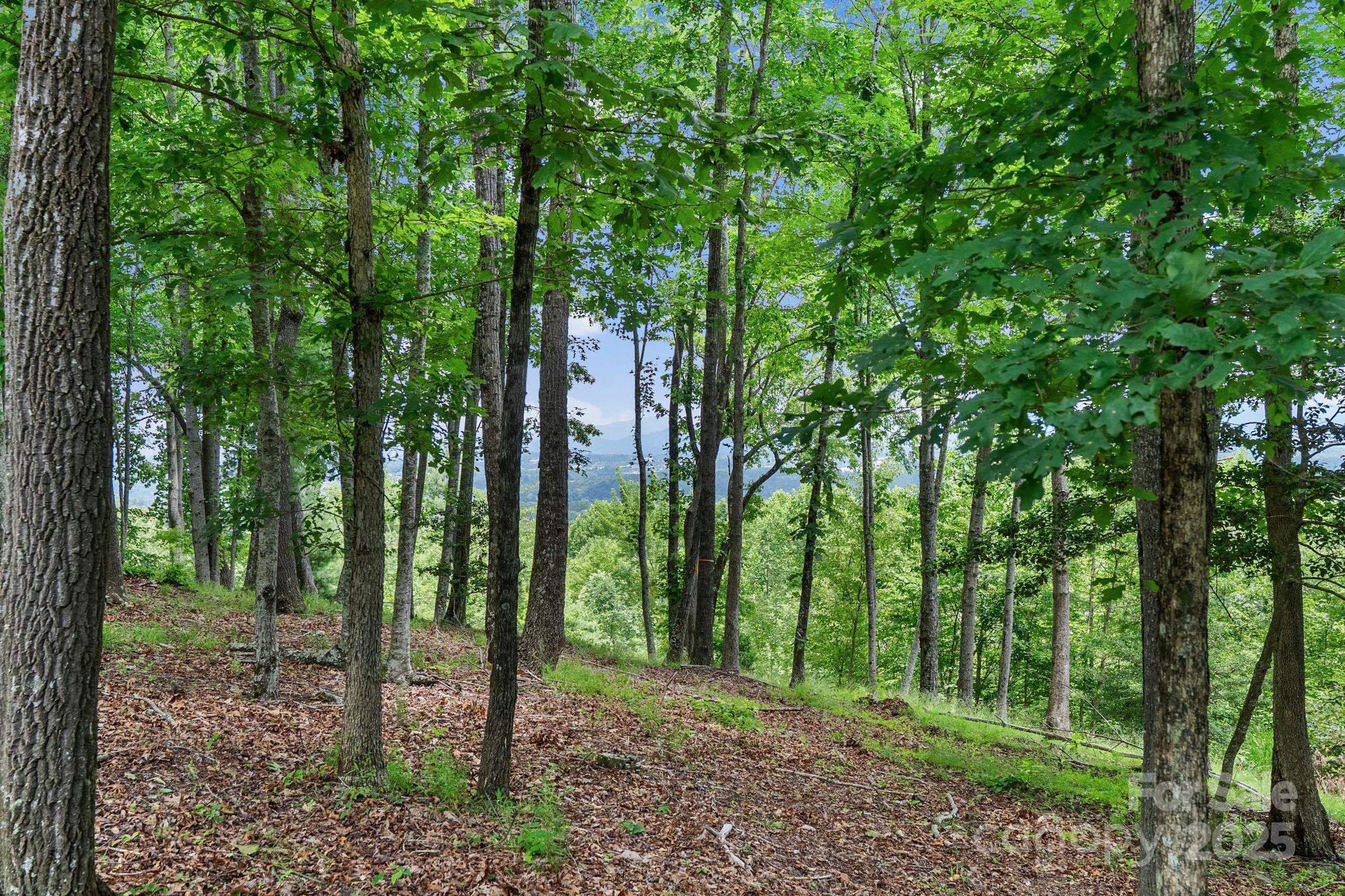 120 Split Rock Trail Arden NC 28704