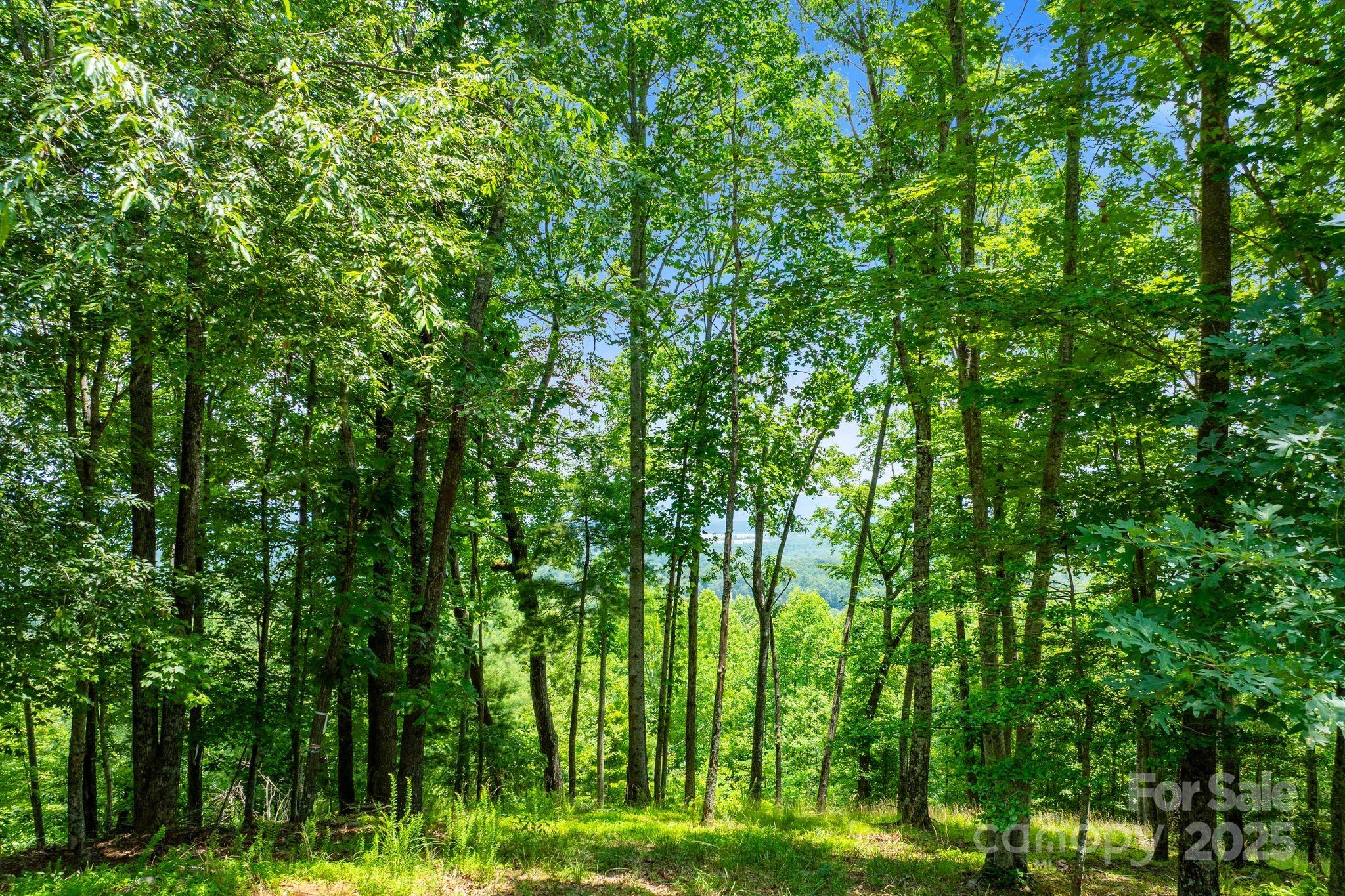 120 Split Rock Trail Arden NC 28704