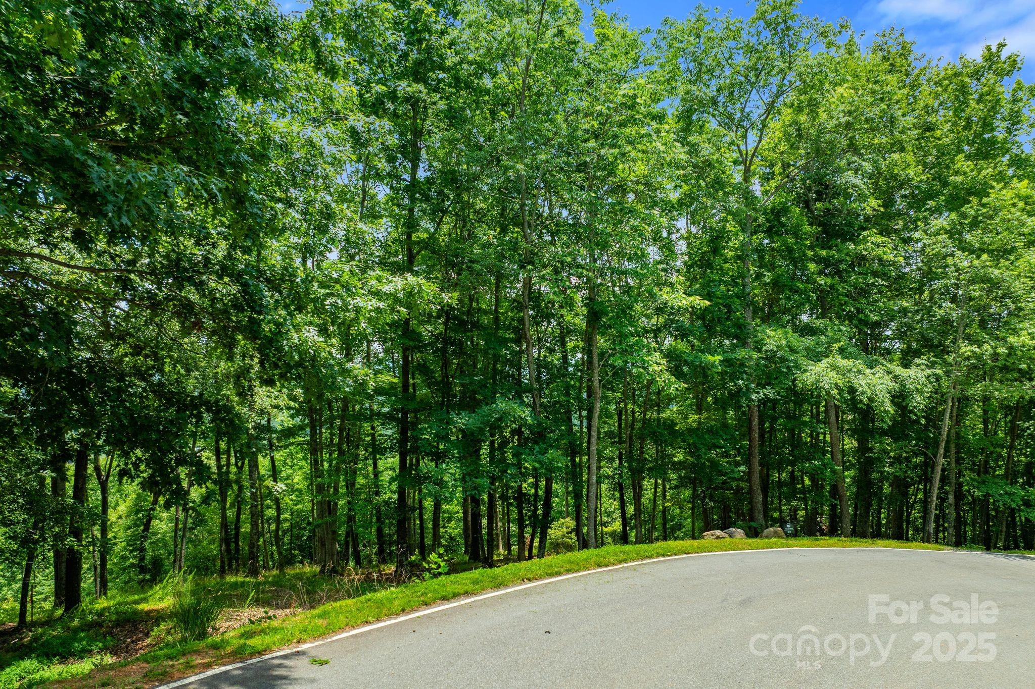 120 Split Rock Trail Arden NC 28704