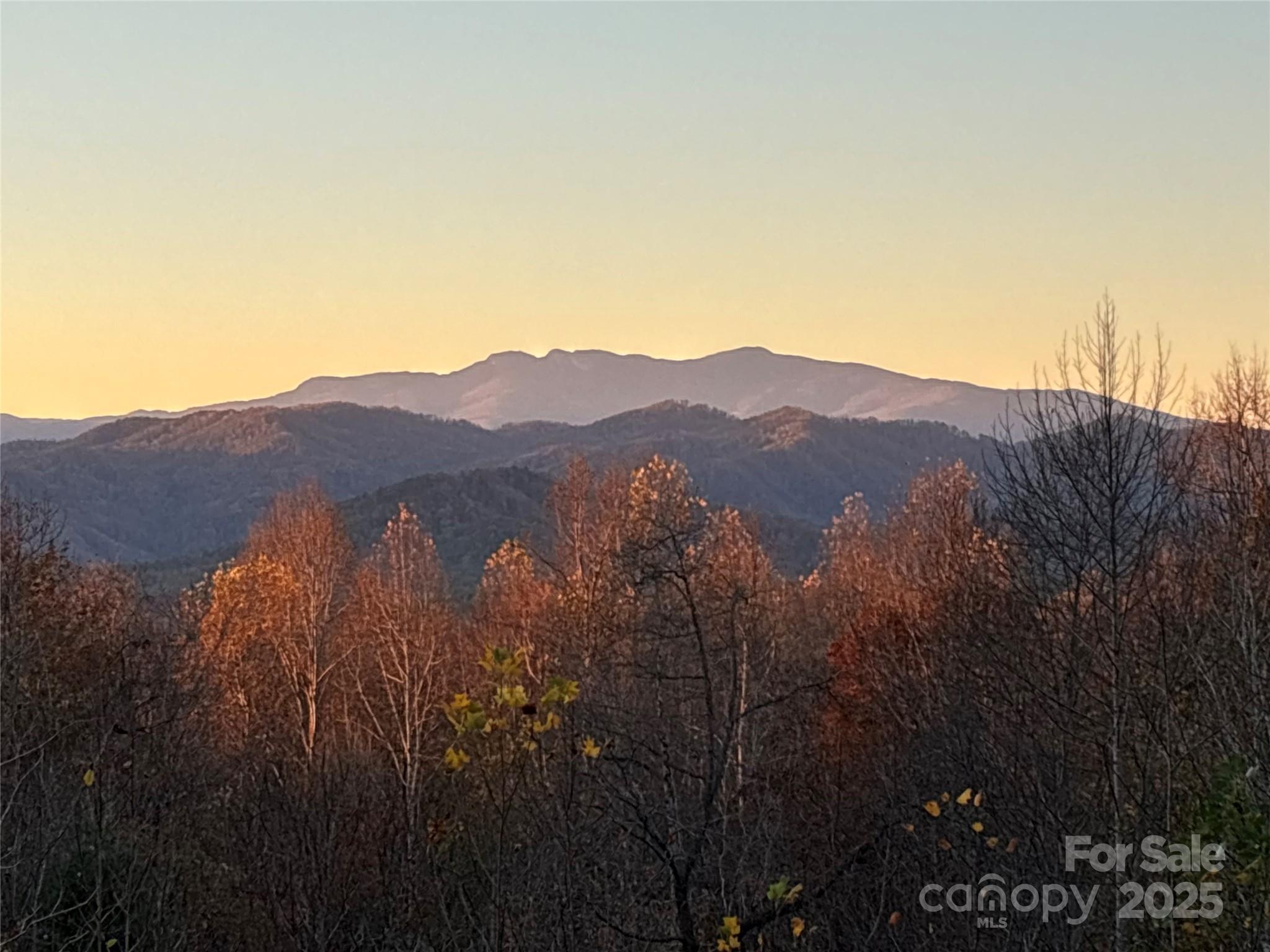 1021 Pleasant Ridge Trail Lenoir NC 28645