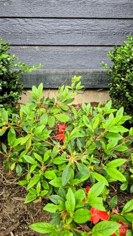 105 Annies Ridge Road Asheville NC 28804