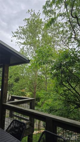 105 Annies Ridge Road Asheville NC 28804