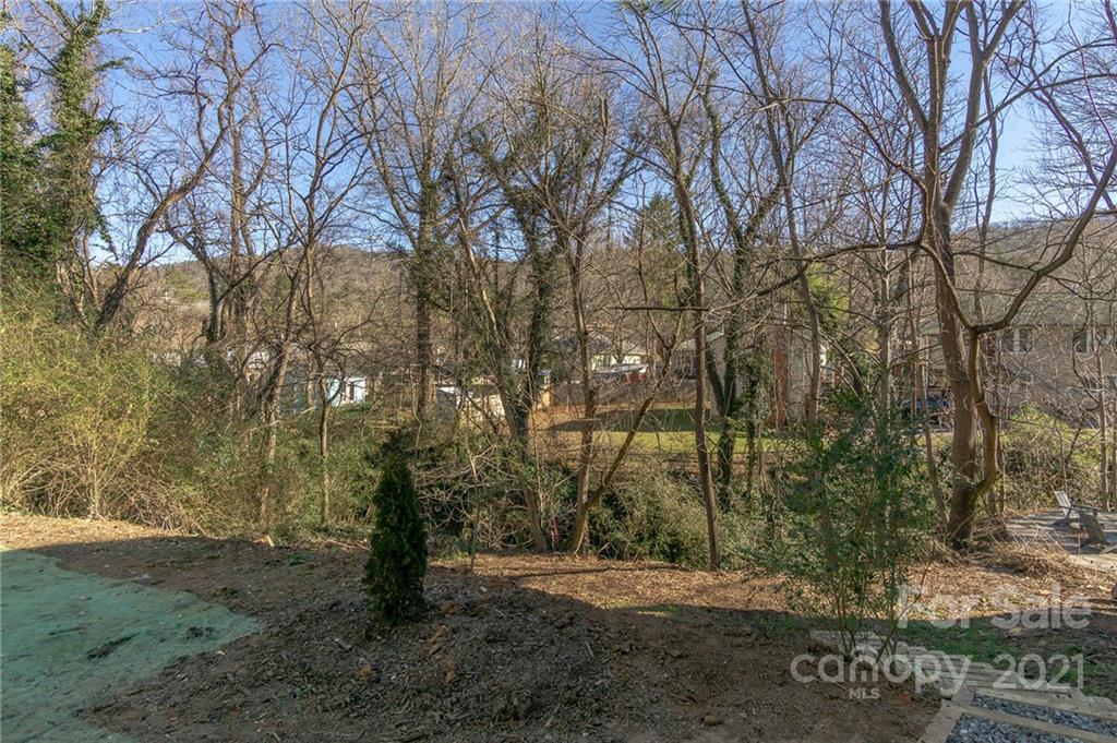 7 Cornelia Street Asheville NC 28801