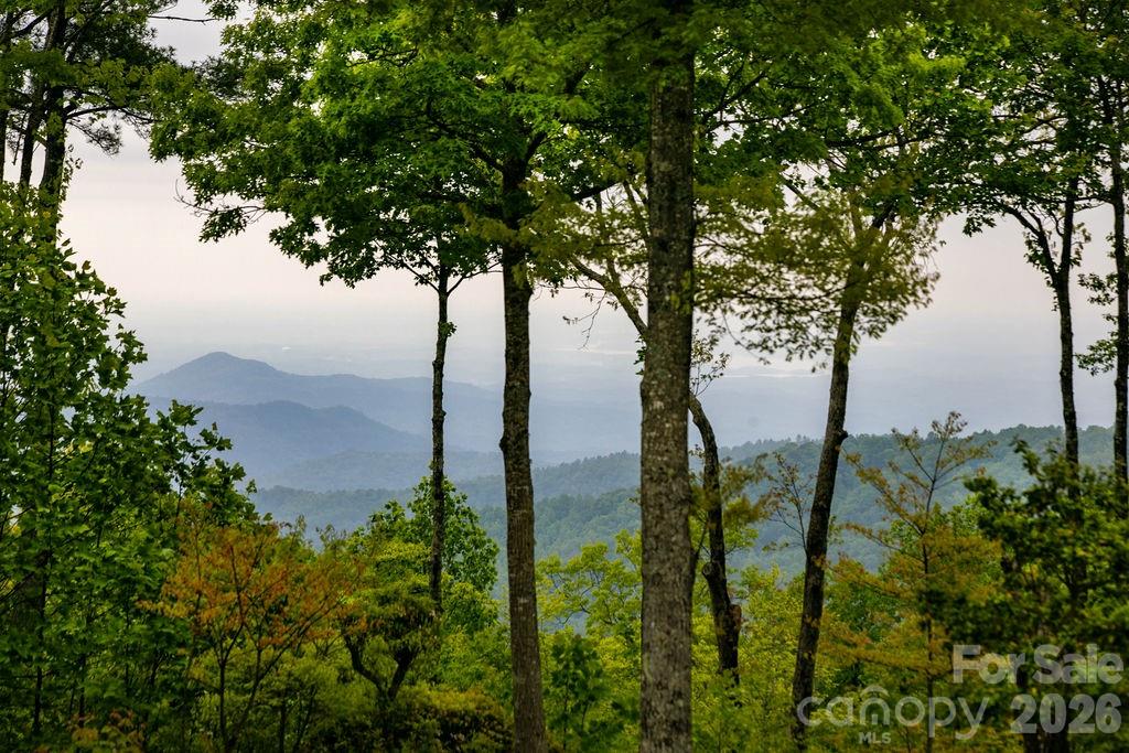 111 Wild Hog Creek Road Rosman NC 28772