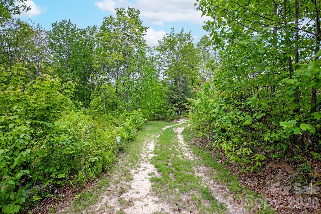 111 Wild Hog Creek Road Rosman NC 28772