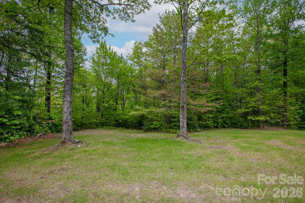 111 Wild Hog Creek Road Rosman NC 28772