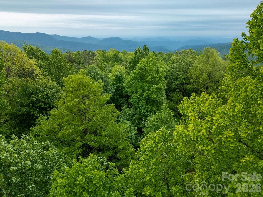111 Wild Hog Creek Road Rosman NC 28772