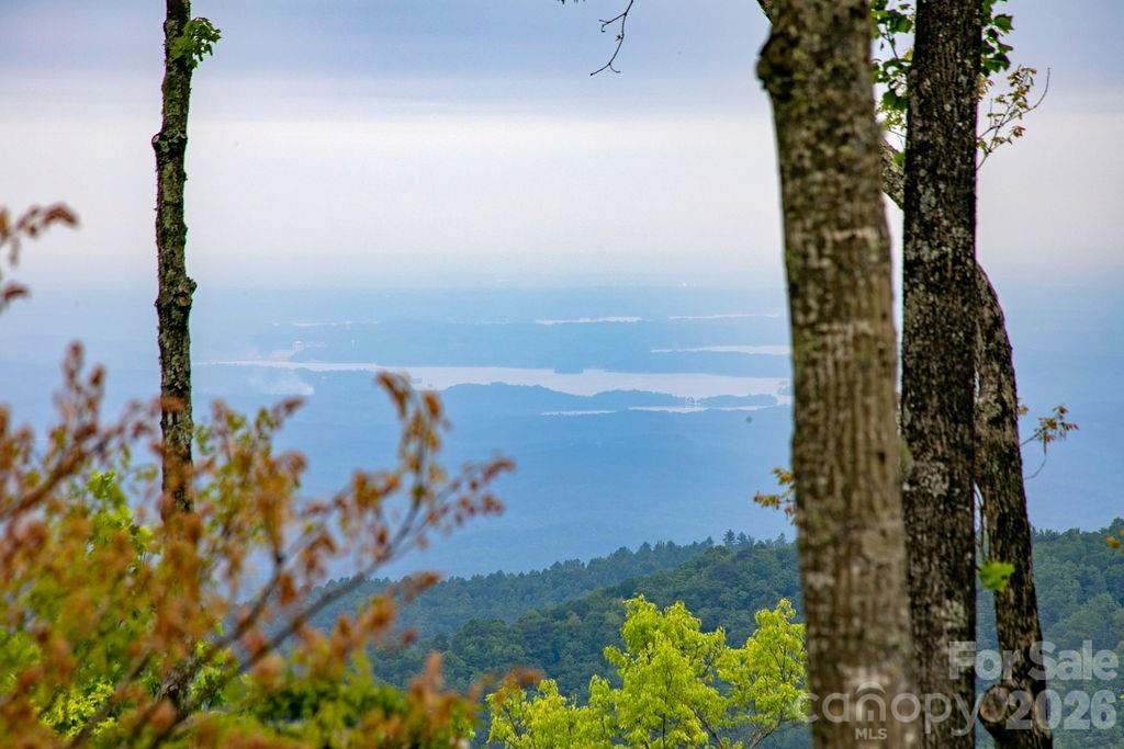 111 Wild Hog Creek Road Rosman NC 28772