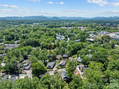 26 Unadilla Alley Asheville NC 28803