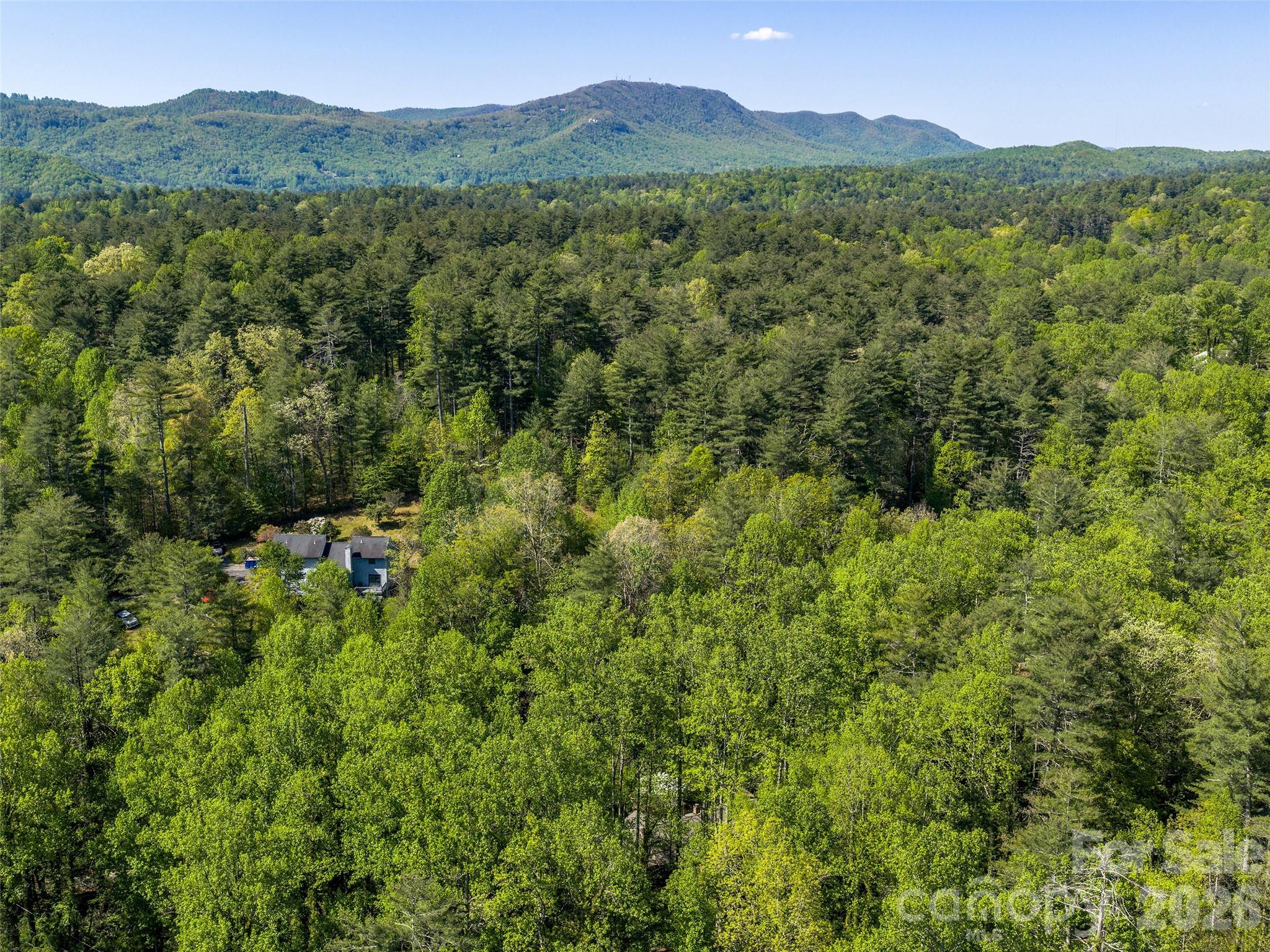 30 Kanuga Heights Lane Hendersonville NC 28739