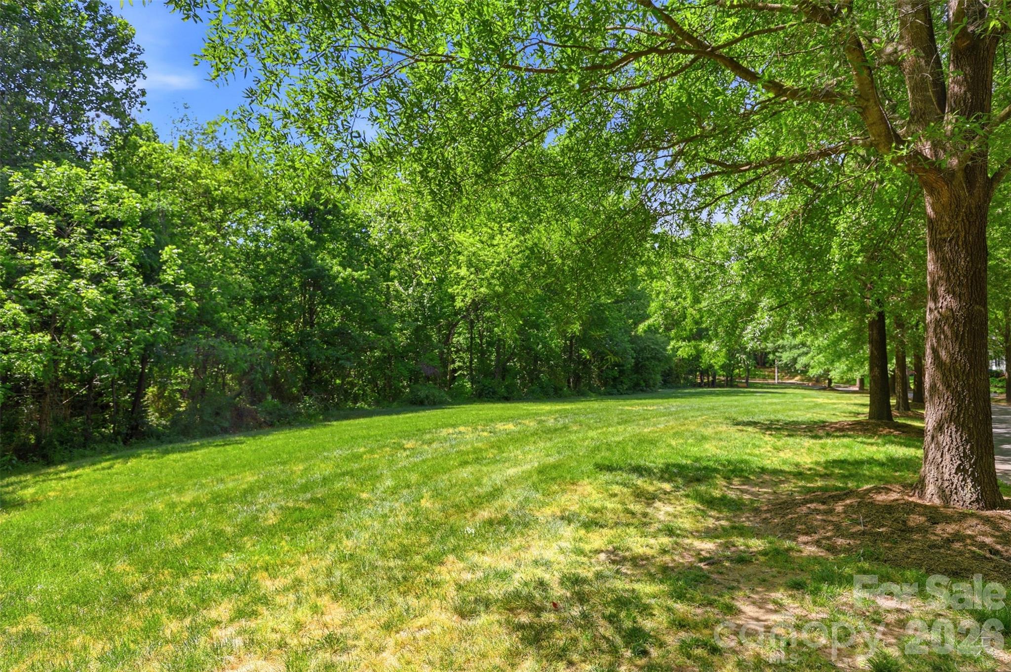 13911 Cinnabar Place Huntersville NC 28078