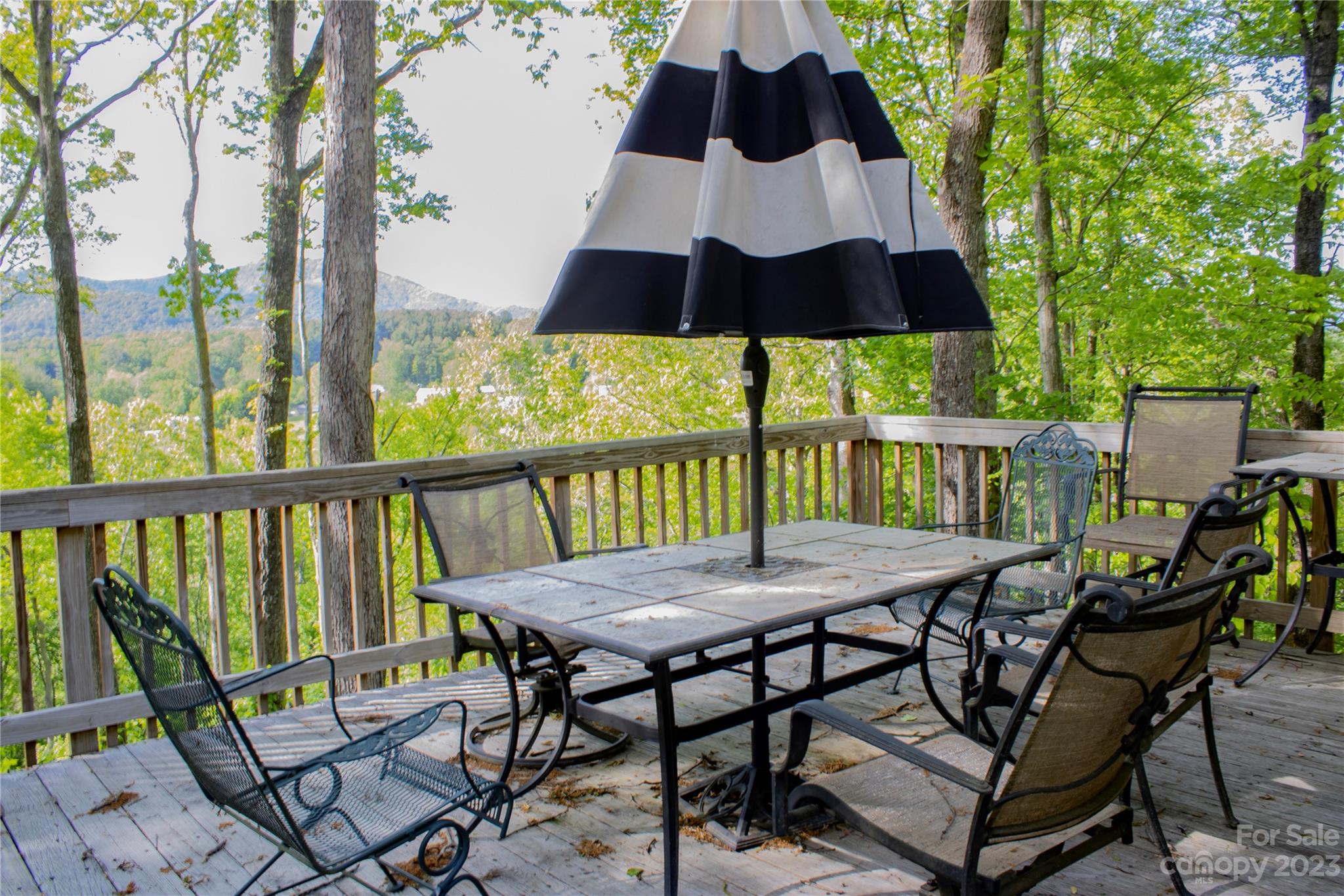 58 Homewood Road Candler NC 28715