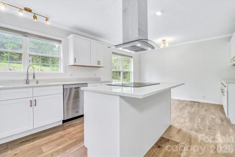 31 Trent Drive Leicester NC 28748
