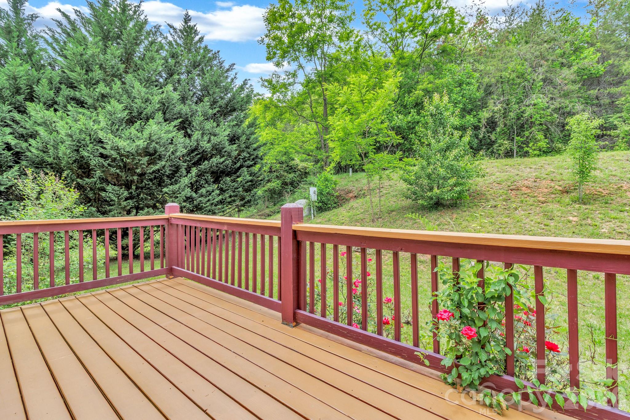 31 Trent Drive Leicester NC 28748