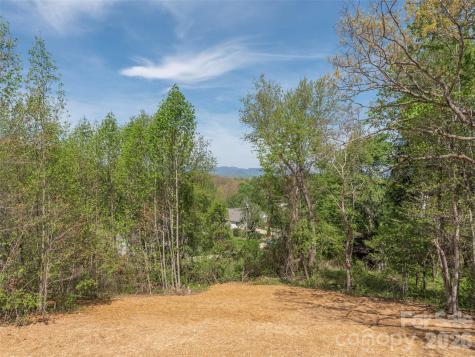 118 Max View Drive Leicester NC 28748