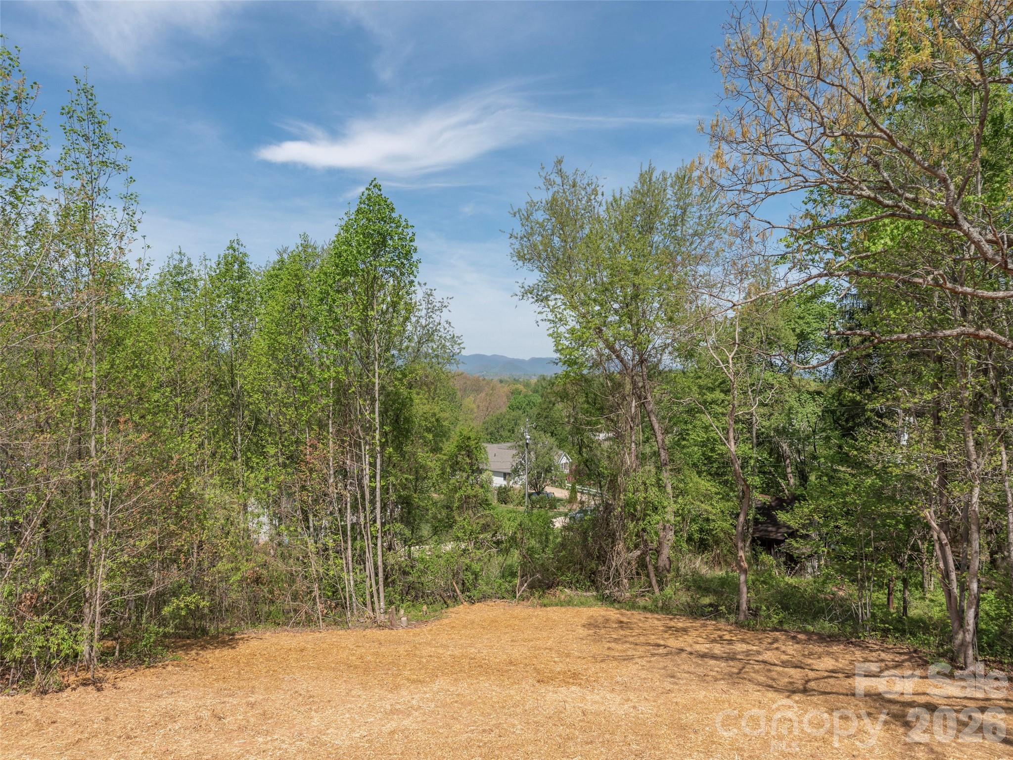 118 Max View Drive Leicester NC 28748