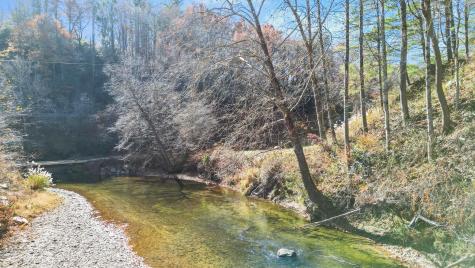 1154 Altapass Highway Spruce Pine NC 28777