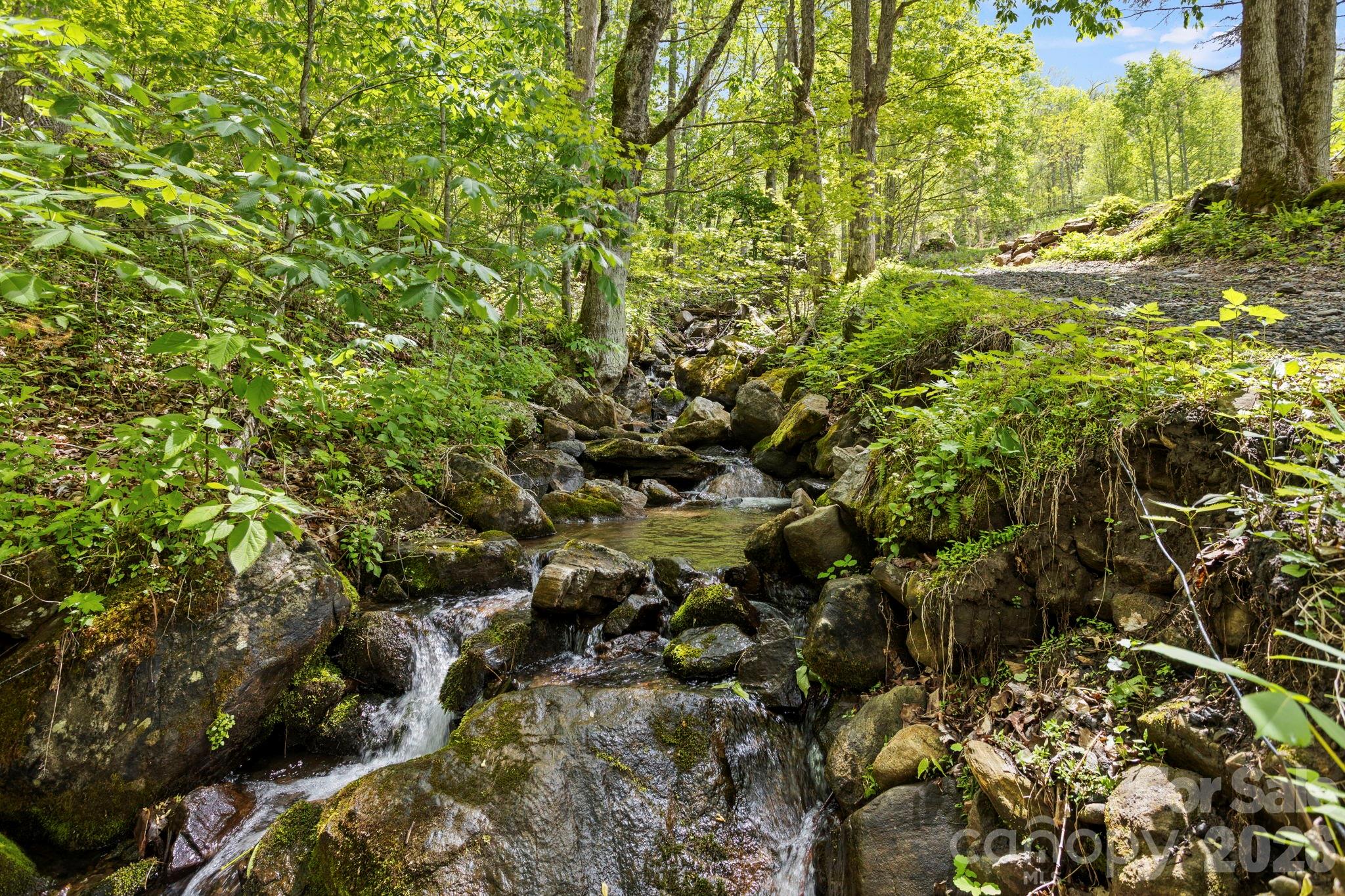1108 Pine Root Branch Road Bakersville NC 28705