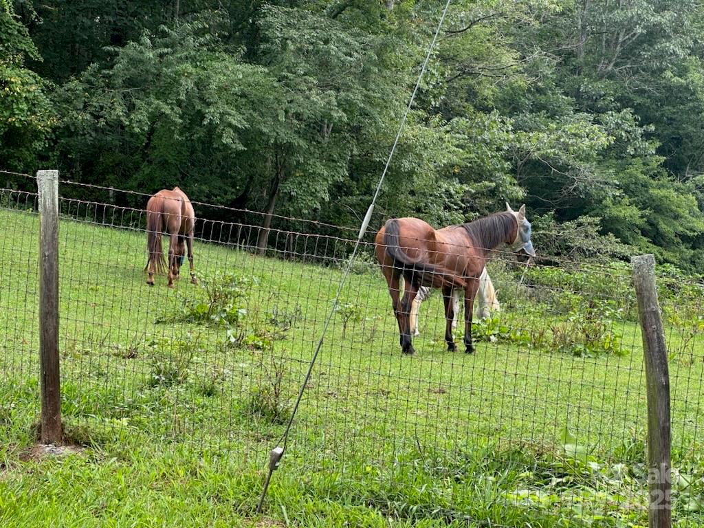 174 Christian Creek Road Swannanoa NC 28778