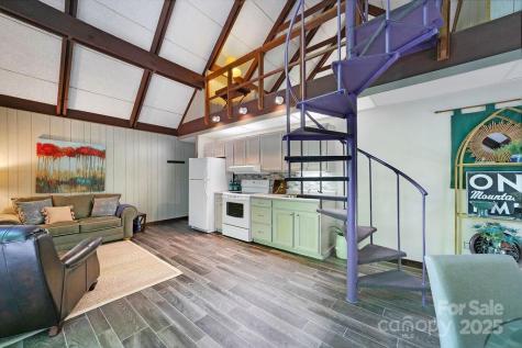 2023 Connestee Trail Brevard NC 28712