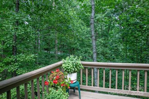 2023 Connestee Trail Brevard NC 28712