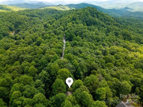 2023 Connestee Trail Brevard NC 28712