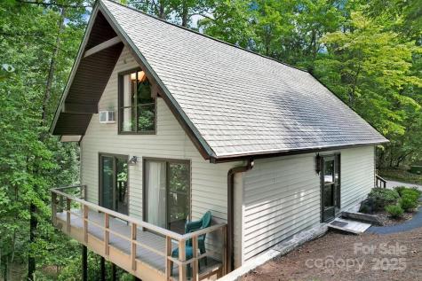 2023 Connestee Trail Brevard NC 28712