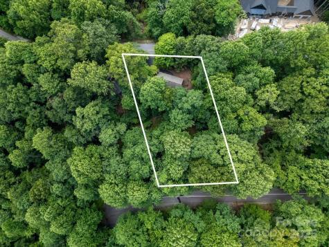 2023 Connestee Trail Brevard NC 28712