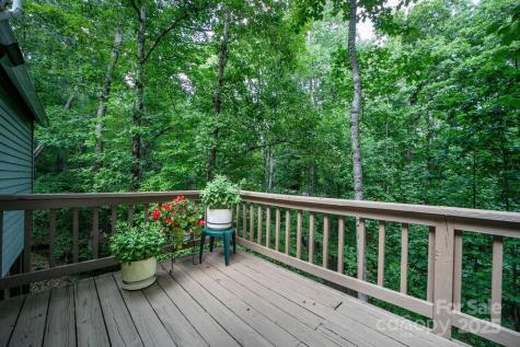 2023 Connestee Trail Brevard NC 28712
