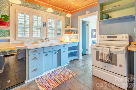124 Evelyn Place Asheville NC 28801