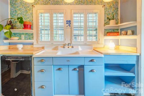 124 Evelyn Place Asheville NC 28801