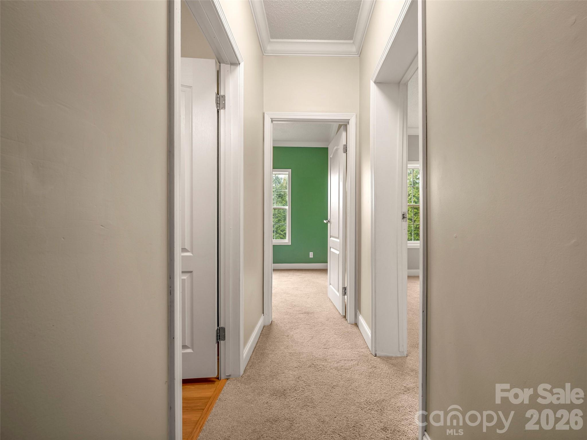 97 Meadowview Drive Saluda NC 28773