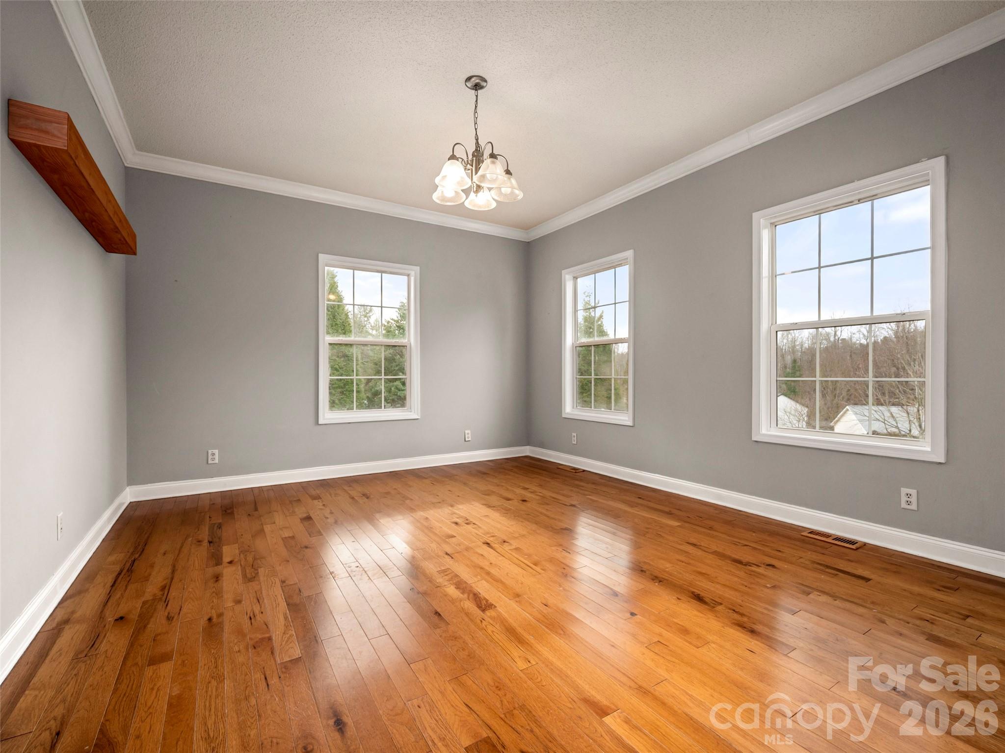97 Meadowview Drive Saluda NC 28773