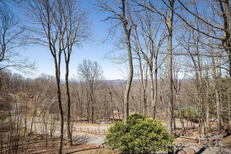 170 Lucas Lane Mars Hill NC 28754