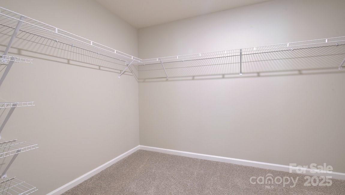 846 Adelston Lane Asheville NC 28804