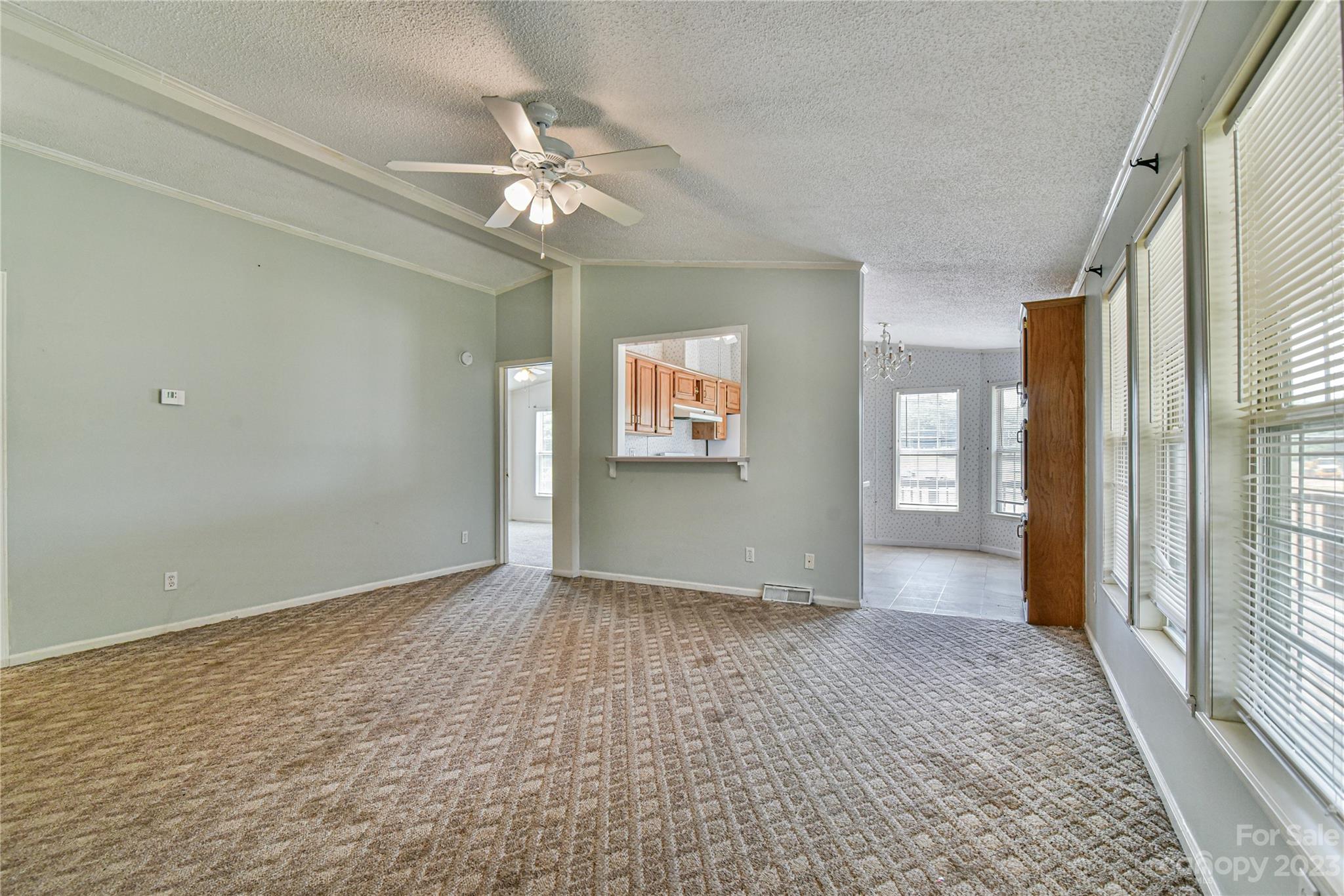 23 Holbrook Road Candler NC 28715