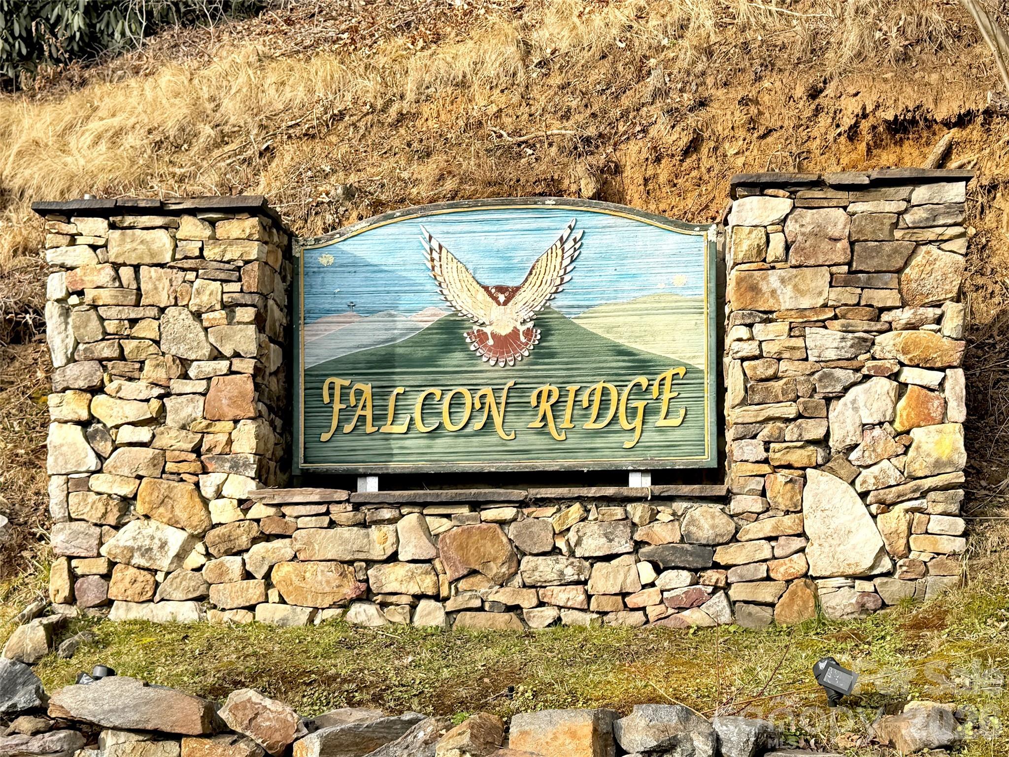 371 Falcon Ridge Drive Waynesville NC 28786