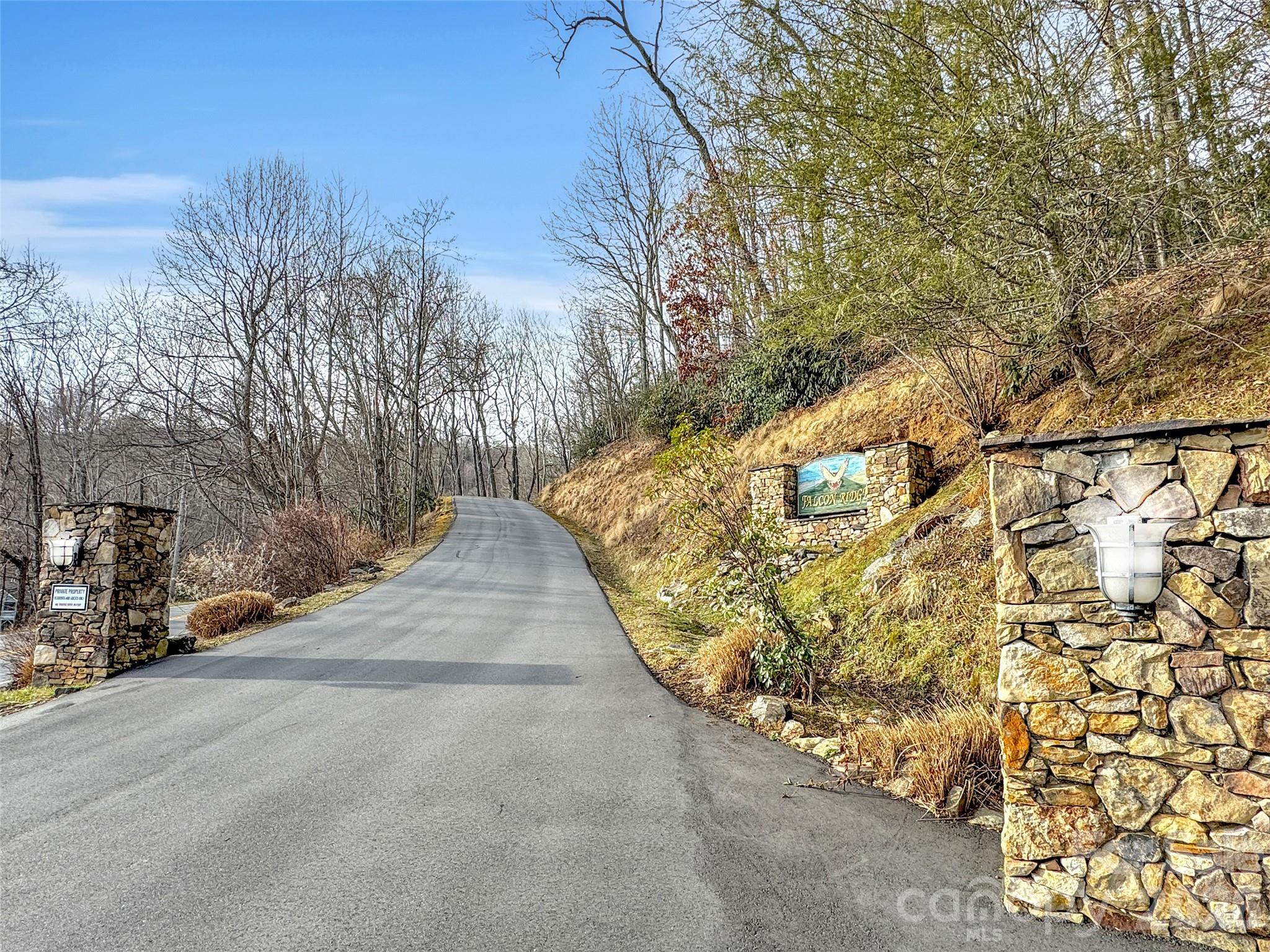 371 Falcon Ridge Drive Waynesville NC 28786
